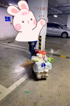 折叠行李车