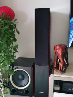 %title插图%num 山水(SANSUI) F5 家庭影院5.1音响组合立体环绕电视蓝牙音箱支持解码功放10寸低音炮重低音 旗舰版(配DM-10A功放机)