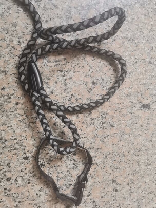 狗狗牵引绳