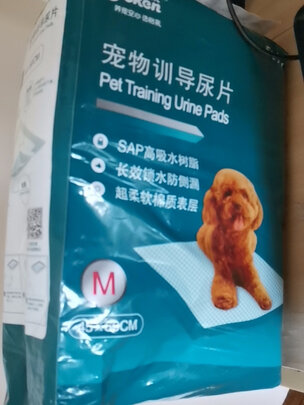 宠物纸尿裤