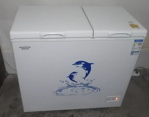 冰柜|澳柯玛BCD-203CNE冰柜怎么样？亲身体验告知你实情！
