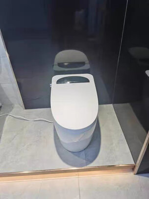 希箭CZNT151101智能马桶|希箭CZNT151101智能马桶好吗？图文评测曝光