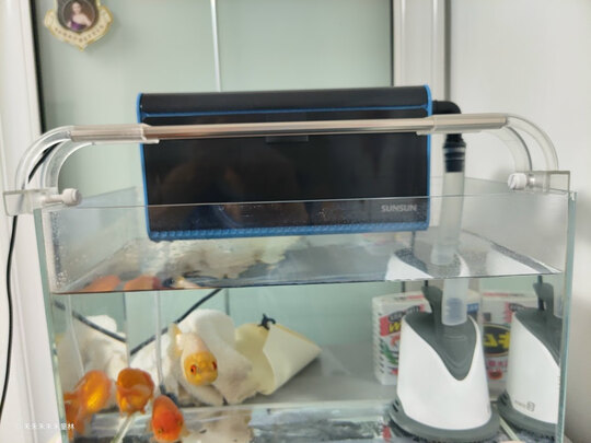 鱼缸灯led灯