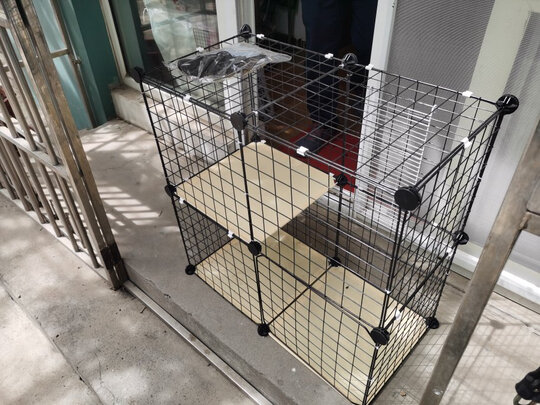  猫笼
