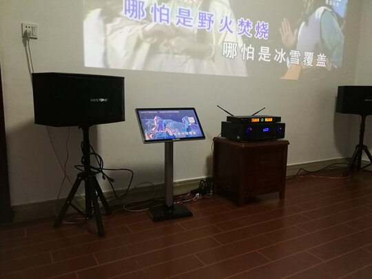 威斯汀（WESTDING） 点歌机家庭影院ktv音响组合功放套装家用卡拉OK双系统一体机10英寸低音 【配置一】108智能语音双系统（2T版）