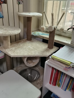 猫爬架