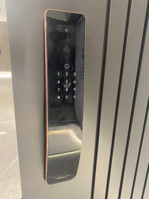 王力全自动指纹锁智能锁电子锁指纹密码开锁门锁本地猫眼室内带屏远程抓拍3D人脸解锁 XD601-MAX