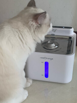 宠物饮水机