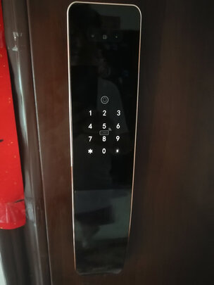 智能锁|王力XD601智能锁独家揭秘评测真相,不看后悔!
