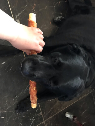 狗狗磨牙棒