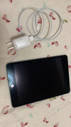 Apple iPad mini 5 2019年新款平板电脑 7.9英寸（256G WLAN版/A12芯片/Retina显示屏/MUU62CH/A）金色