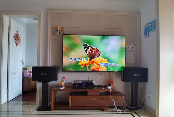 山水SP9-10|山水sp9家庭KTV音响套装怎么样？使用三天彻底后悔了？