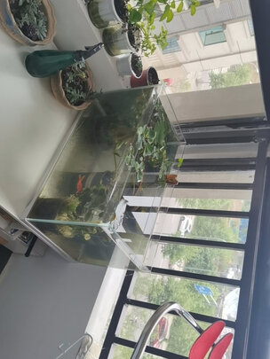 桌面鱼缸
