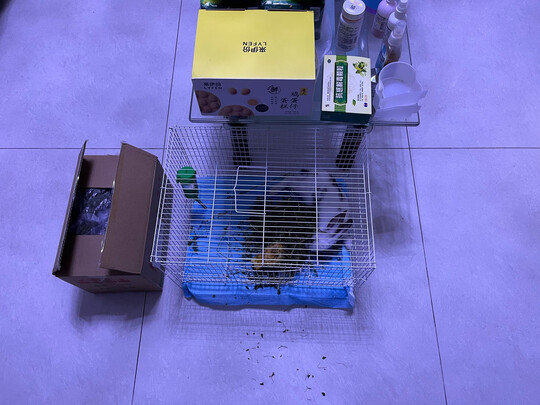 兔粮