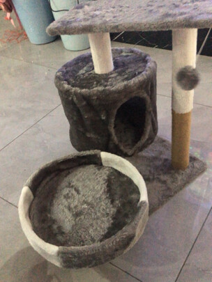 猫爬架