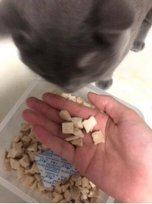 猫冻干