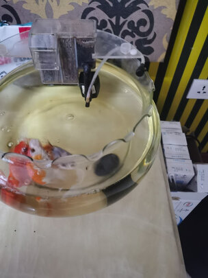 鱼缸净水剂