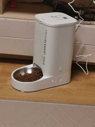 猫碗狗碗