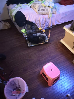 宠物尿垫