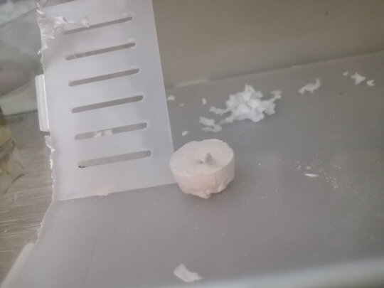 仓鼠磨牙棒