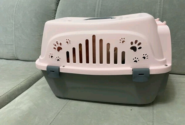 猫包