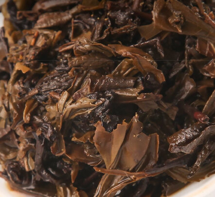 黑茶