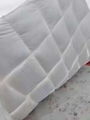 AIDLI羽绒被是哪里生产的，值吗