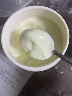 酸奶机/冰淇淋机