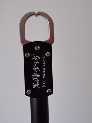 控鱼器