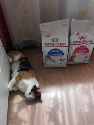 猫粮罐头