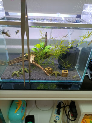 鱼缸氧气泵