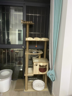 猫爬架