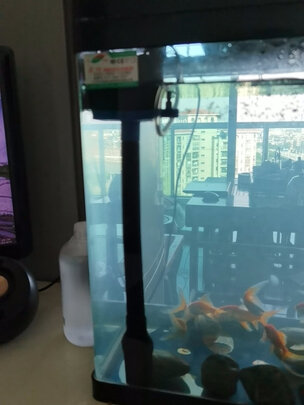 鱼缸水泵