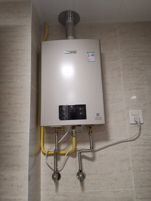 林内(Rinnai)16升燃气热水器 澎湃大水量 百年定制 芯动力系列RUS-16QD31（JSQ31-D31）京品家电