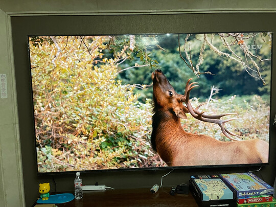 评测雷鸟98S545CPRO怎么样?雷鸟98S545CPRO功能报价用后反馈? 评测雷鸟98S545CPRO怎么样?雷鸟98S545CPRO功能报价用后反馈?