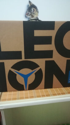 %title插图%num 联想(Lenovo)拯救者R7000 2020款15.6英寸游戏笔记本电脑 R5-4600H 16G GTX1650套装