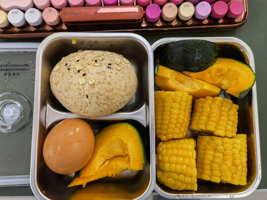 电热饭盒