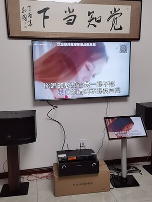 JBLKI110|JBLKI110到底怎么样，参数如何！