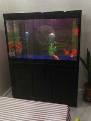 鱼缸水泵