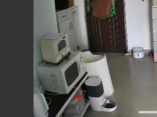 猫碗狗碗