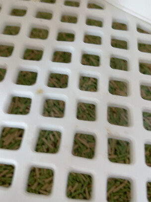 豆腐猫砂