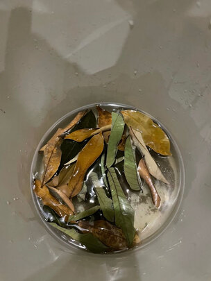 乌龟缸