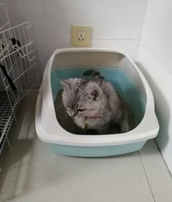 宠物除臭剂