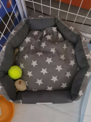 狗窝
