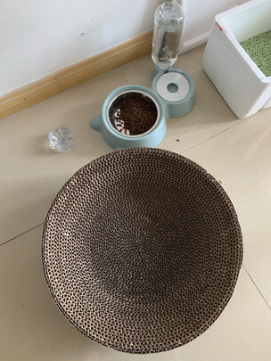 猫抓板