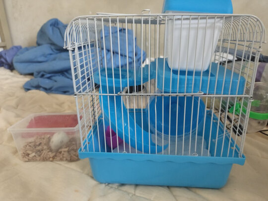 仓鼠水壶