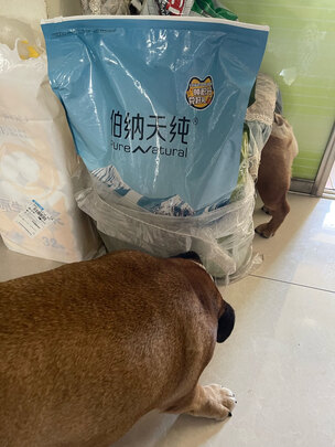 狗粮