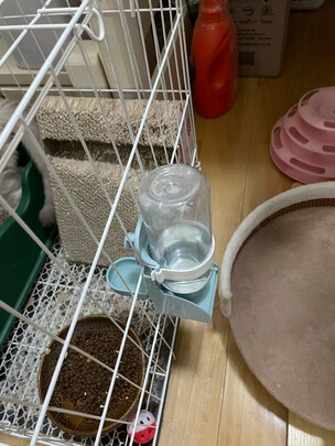 宠物自动喂食器