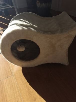 猫窝