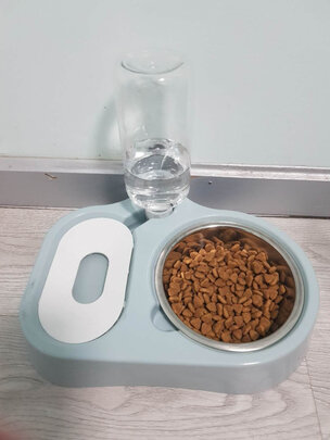 猫碗狗碗